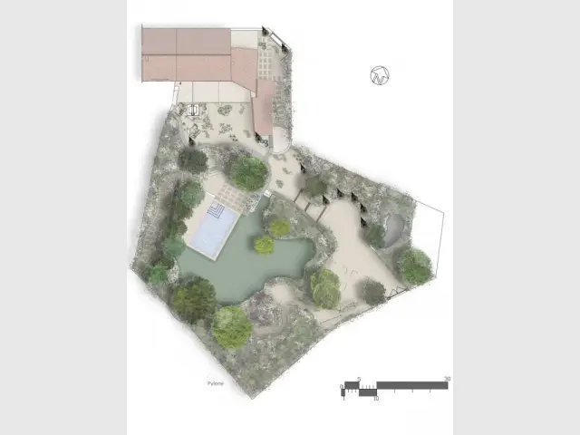 Plan du jardin provençal 