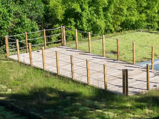 Une toiture végétalisée enrichie d'une terrasse