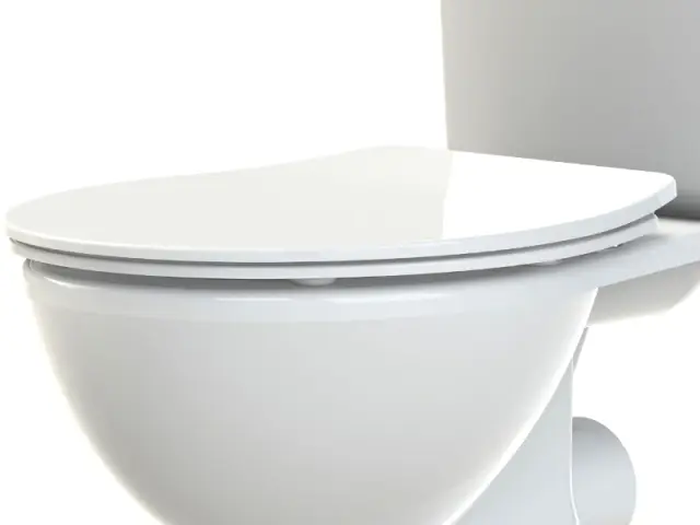 Des toilettes équipées d'un abattant ultra plat