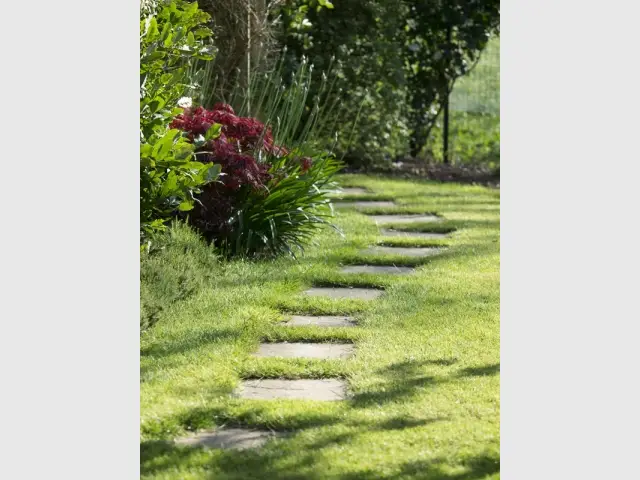 Des petits pas japonais qui serpentent dans le jardin