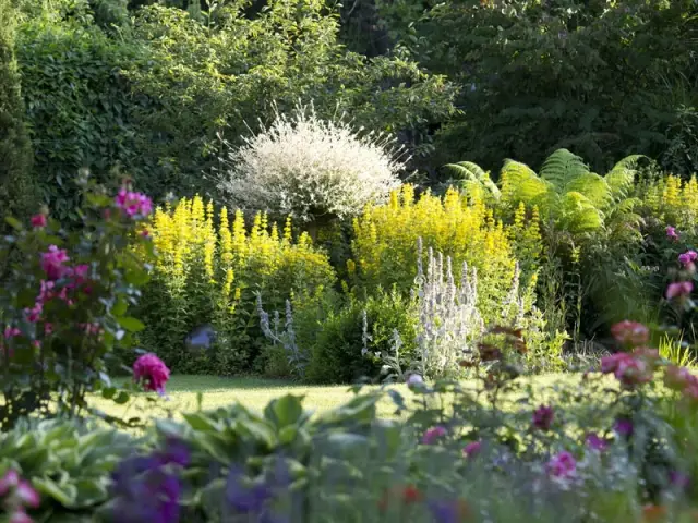 Un jardin vibrant de couleurs tout au long de l'année