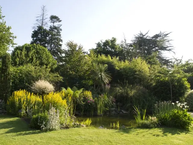 Un jardin d'une grande richesse végétale