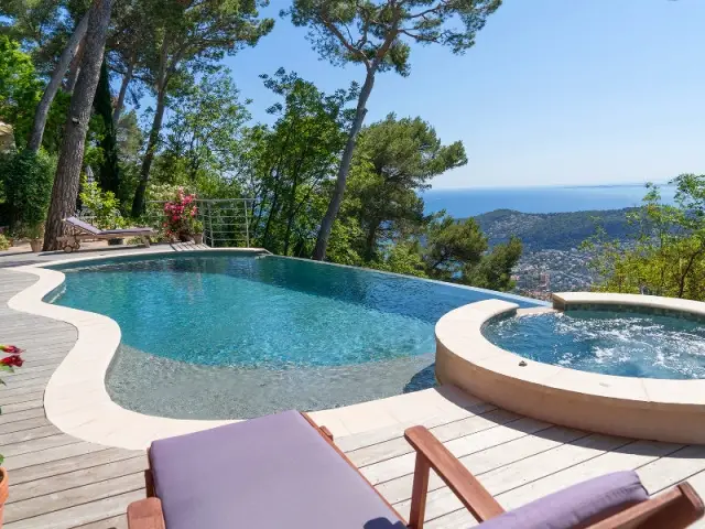 Piscine familiale de forme libre avec spa indépendant