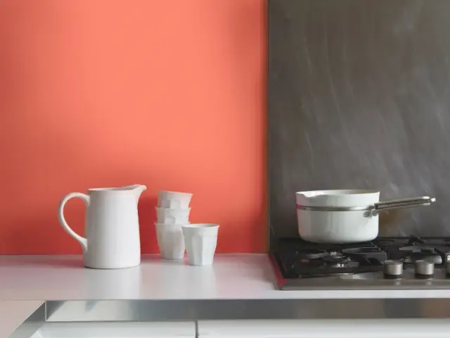 La couleur de l'année 2019 est Living Coral