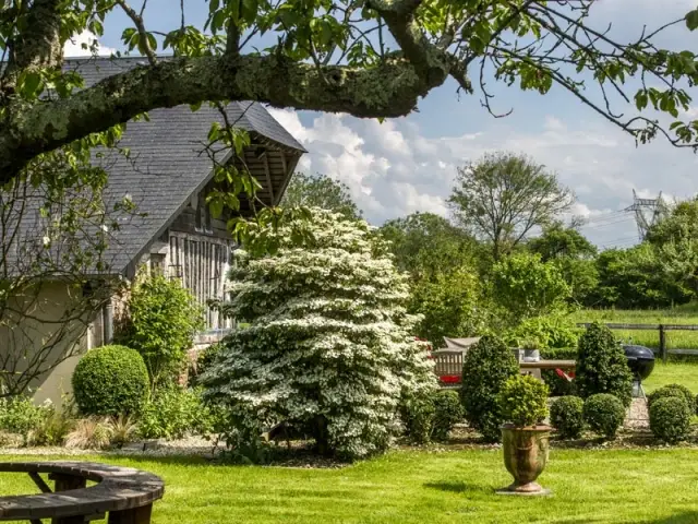 Un jardin savamment aménagé 