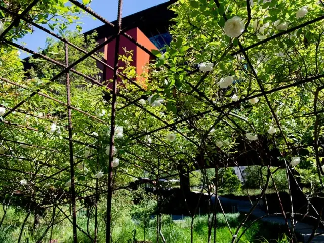 Jardin du Musée du quai Branly - Jacques Chirac