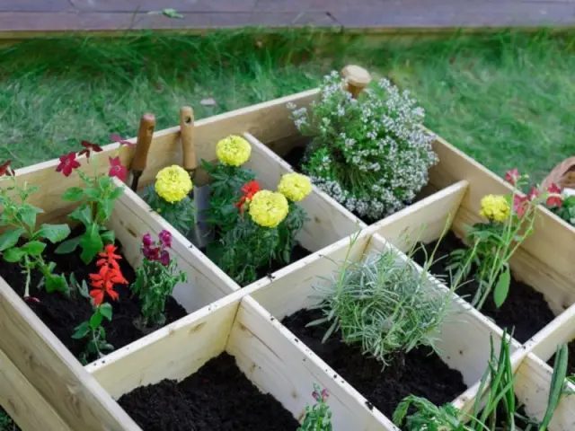 Les carré potager MAJALIS sont proposées sous forme carrée (120×120 cm). Il est destiné à recevoir plantes et légumes