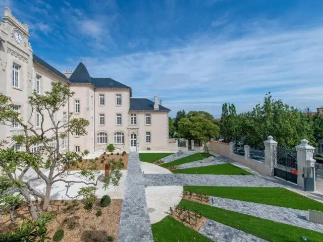 Un arbre à préserver lors de la rénovation - Le jardin du carré des lettres, à La Rochelle