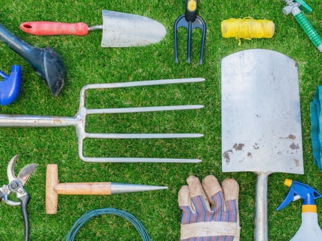 Entretenir Son Jardin à Lautomne - 