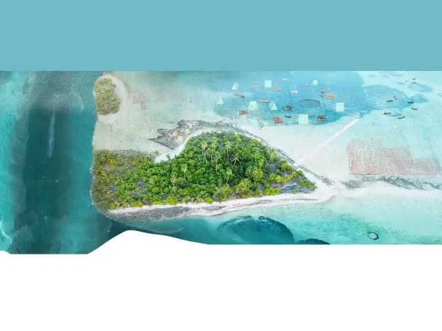 Prix Focus "Littoral africain", Architecture et problématique de la montée du niveau des Océans  - Prix du concours de la Fondation Jacques Rougerie