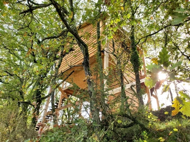 Une cabane perchée dans les arbres