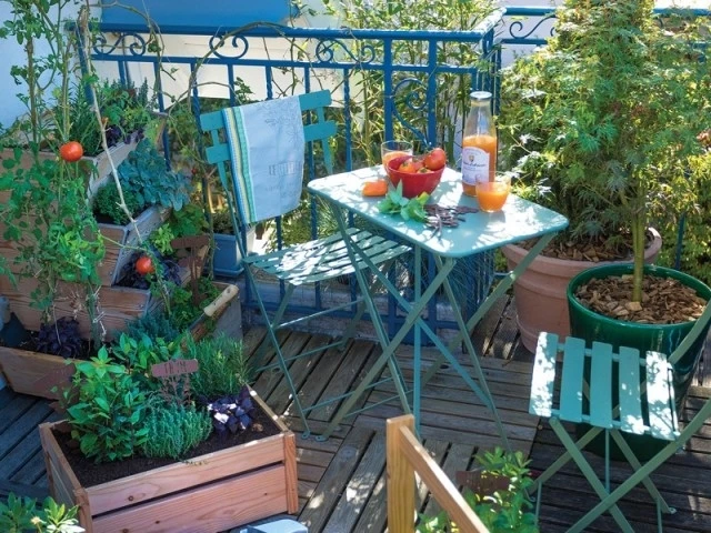 Créer un petit potager sur son balcon