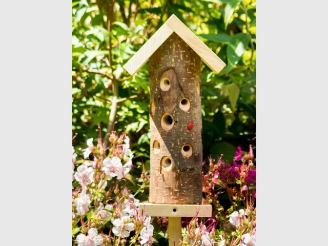 Tour à coccinelles en bois, Wildlife World, vendu chez Greenweez, prix : 17,67 &euro;