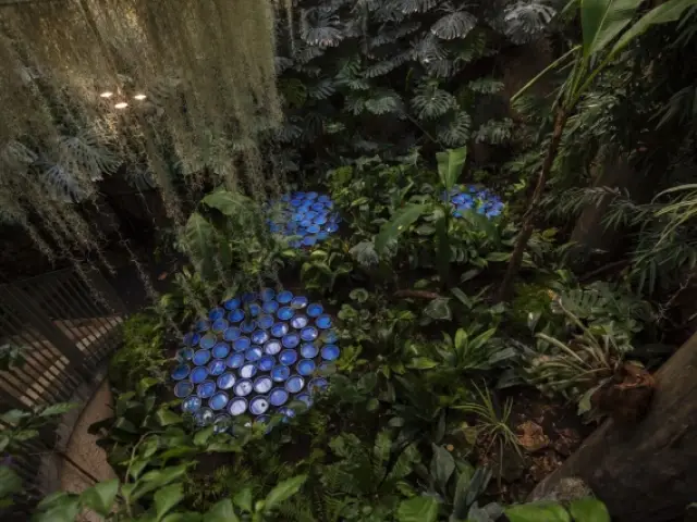 Rainforest, Patrick Nadeau à Chaumont-sur-Loire