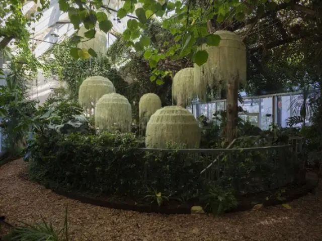 Une installation poétique dans la grande serre de Chaumont-sur-Loire - Rainforest, Patrick Nadeau à Chaumont-sur-Loire