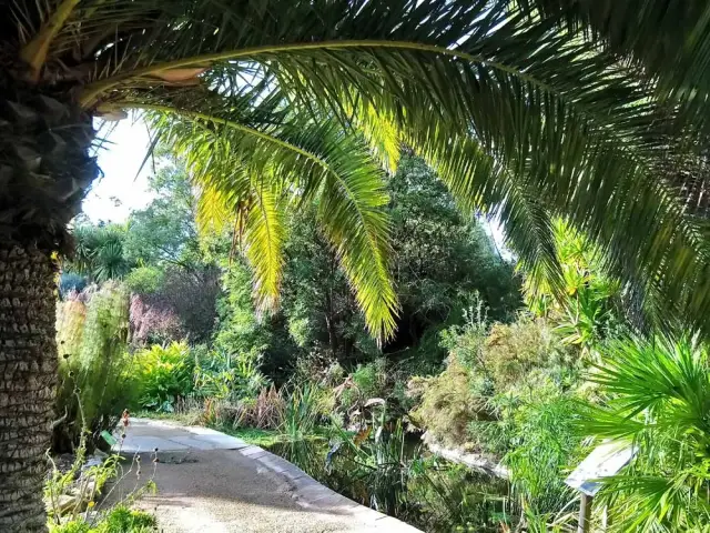 Jardin exotique & botanique de Roscoff 