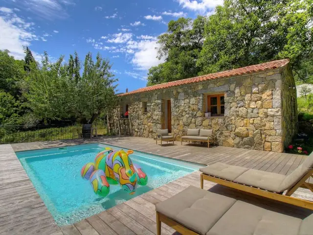 Une terrasse et une piscine ensoleillées 