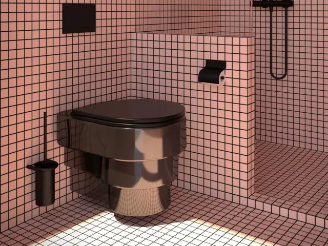 Innovant, design rétro ou futuriste : les toilettes se réinventent