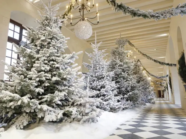 Décoration enneigée dans la grande galerie