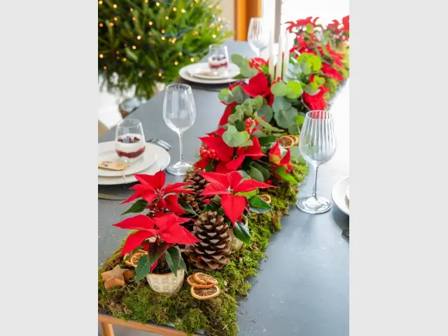 Des poinsettias pour égayer le centre de table