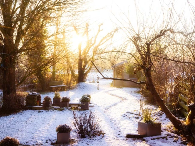 Que faire dans son jardin en janvier ? 