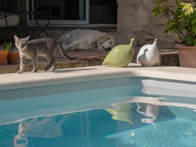 Une piscine équipée pour plus de confort