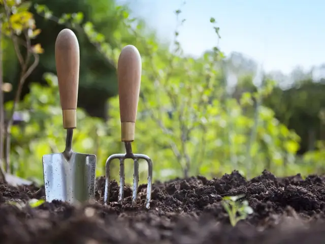 Que faire dans son jardin en mars ? 