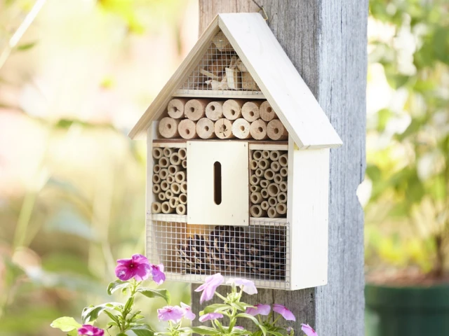 Un hôtel pour les insectes