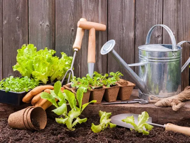 Créer un potager sur son balcon