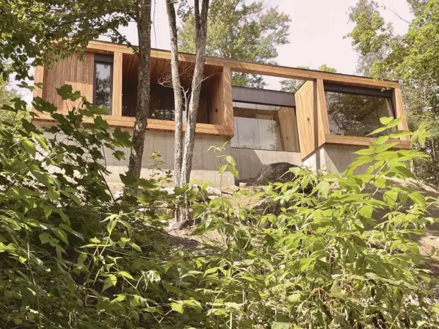 Une maison nichée dans la forêt