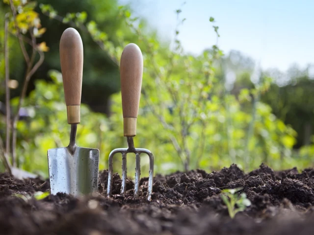 Choisir des plantes appropriées pour son jardin