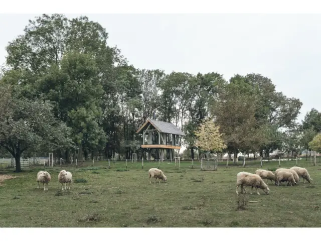 Fiche technique  - Autriche Zen House maison 