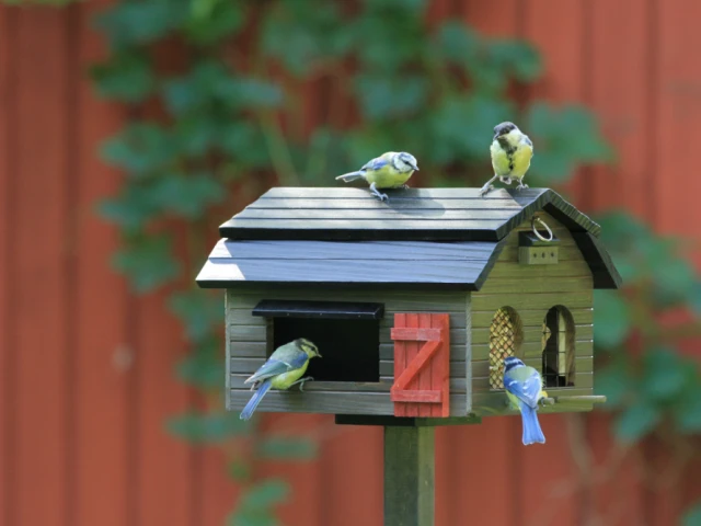 La mangeoire de la marque Wildlife Garden, 64 euros