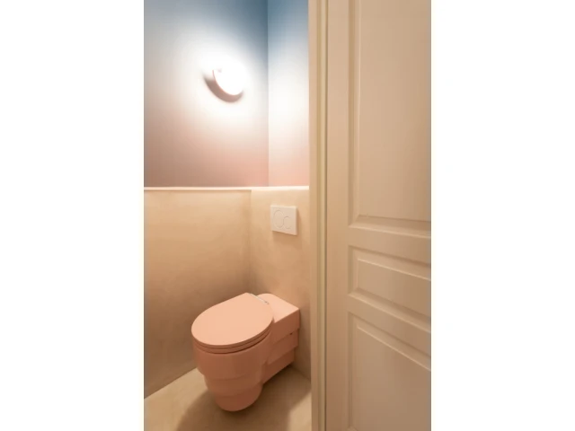 Des toilettes pour le moins étonnantes