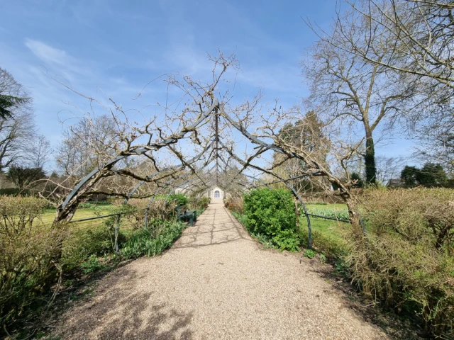 Entre le château et l'orangerie, le visiteur passe sous une tonnelle en forme de coque de bateau renversé où fleurit de la glycine