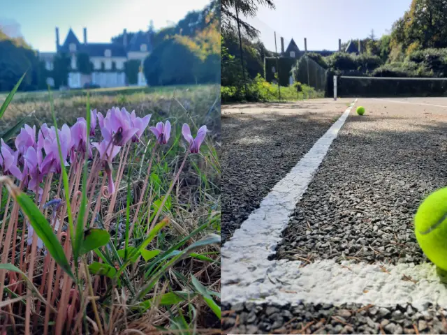 Un parc de cinq hectares avec son terrain de tennis