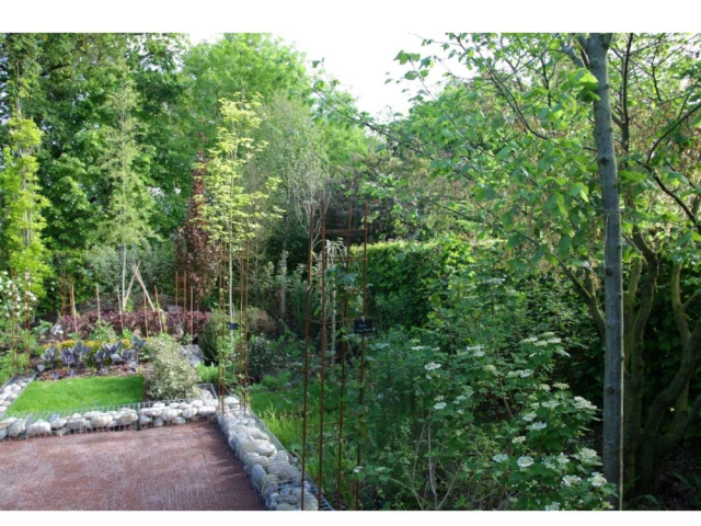 Une mini forêt - Jardin Le pardon de la nature DGJ Paysages