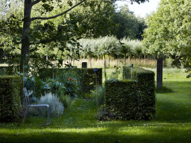 Le thème des prochaines "Visites particulières" du jardin du Lansau portera sur les haies