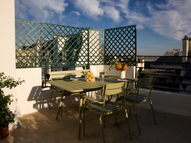 Une terrasse avec vue sur les toits de Paris