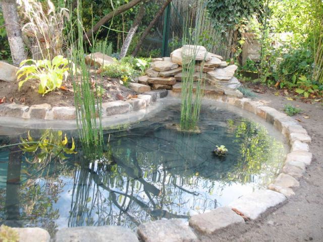 Construire un bassin de jardin en 8 étapes