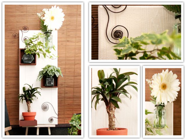 Comment réaliser un « tableau végétal » pour décorer votre intérieur ? 