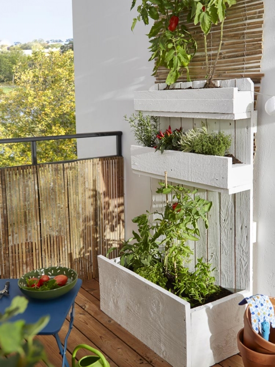 Quand commencer les semis pour son potager de terrasse (ou balcon) ?