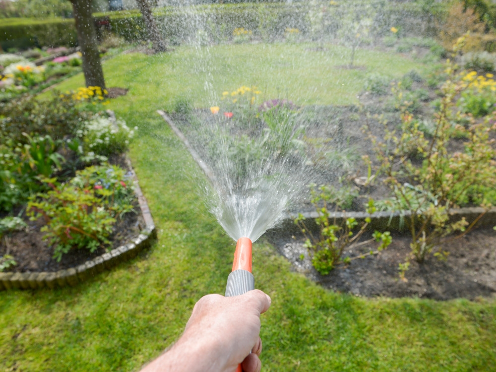 6 bonnes pratiques pour économiser l'eau au jardin cet été - Depuis mon  hamac