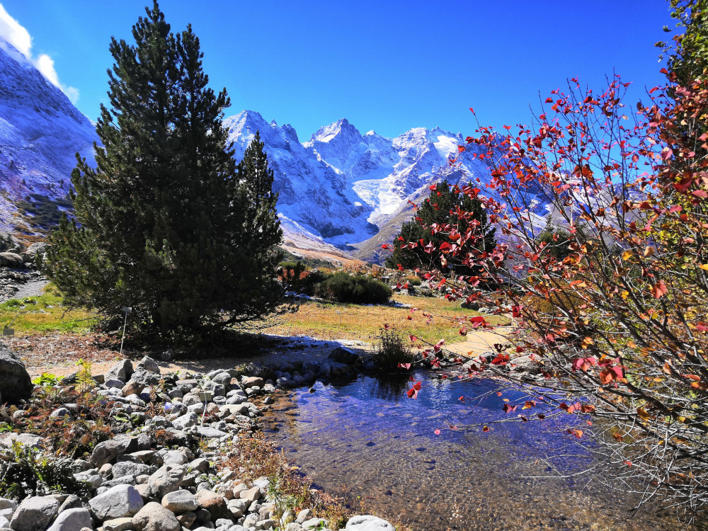 La vue sur les glaciers de la Meije