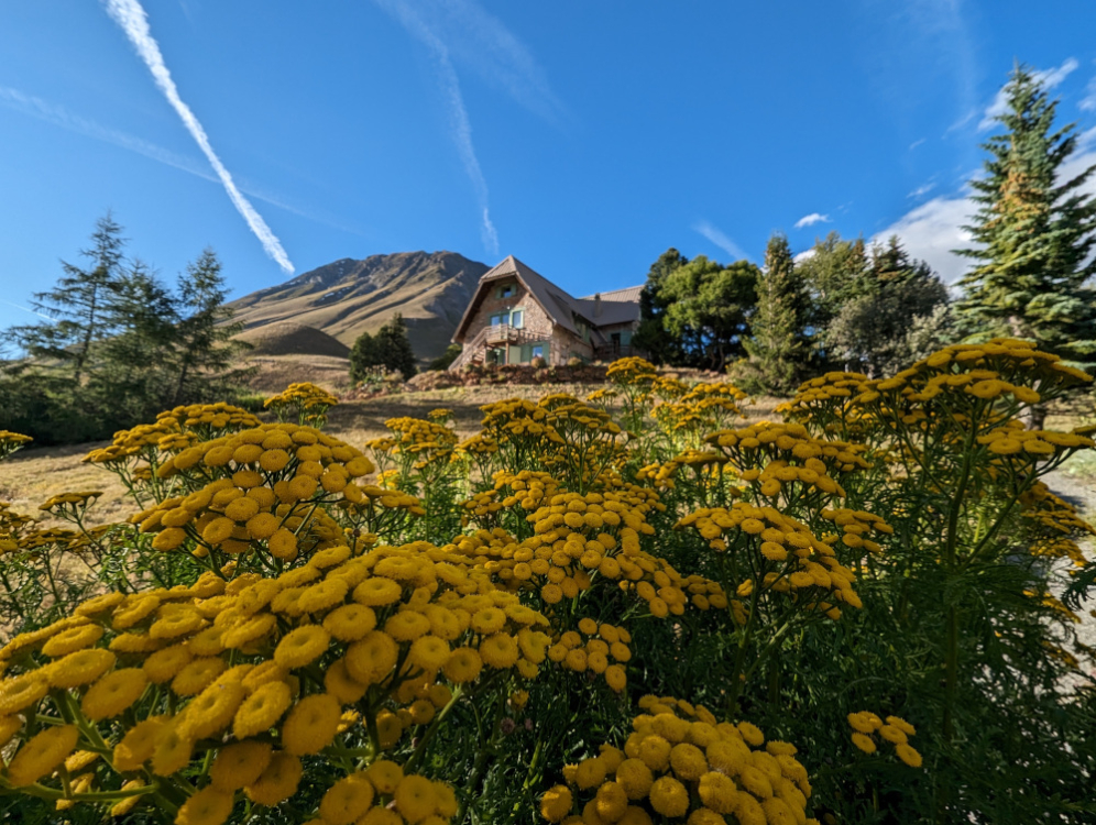 Le jardin du Lautaret abrite plus de 2000 espèces de plantes