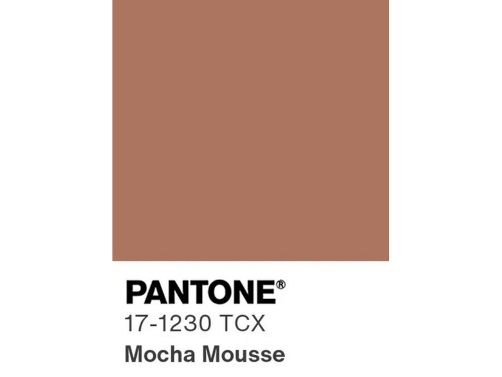 Élu couleur de l'année 2025 par Pantone, le Mocha Mousse est un brun sophistiqué plein de gourmandise